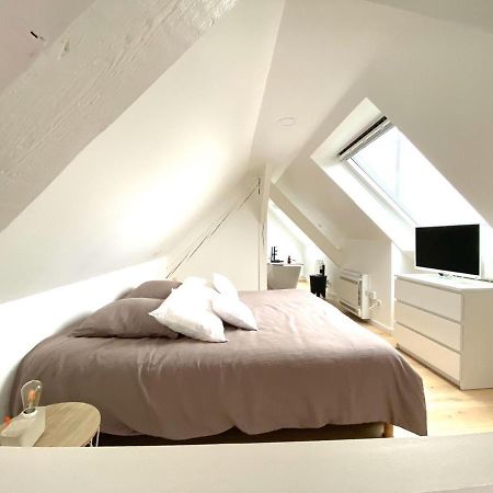 La Cle Des Toits Apartment Colmar Luaran gambar