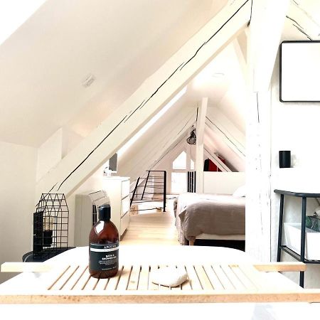 La Cle Des Toits Apartment Colmar Luaran gambar