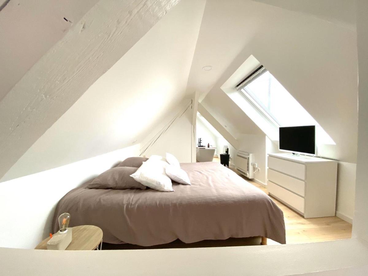 La Cle Des Toits Apartment Colmar Luaran gambar