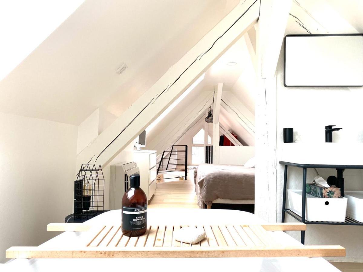 La Cle Des Toits Apartment Colmar Luaran gambar