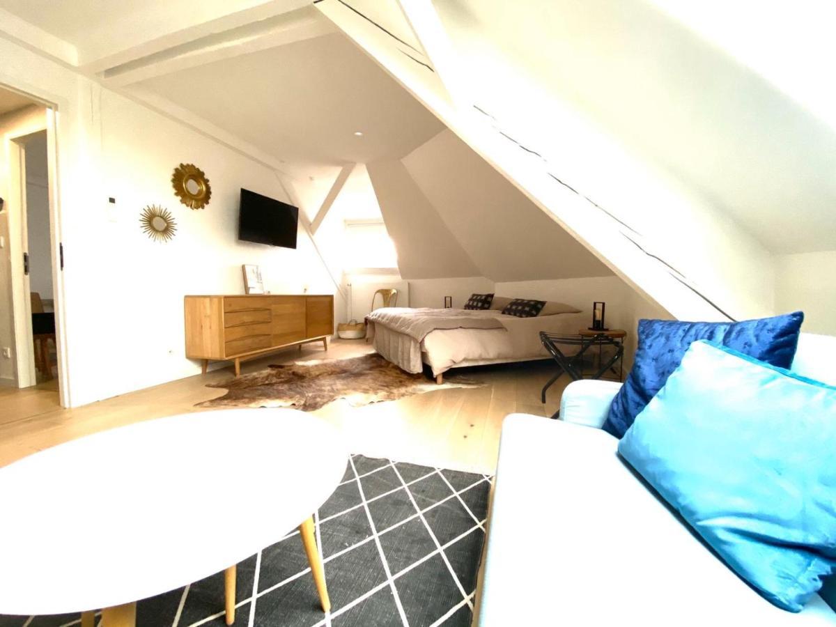 La Cle Des Toits Apartment Colmar Luaran gambar